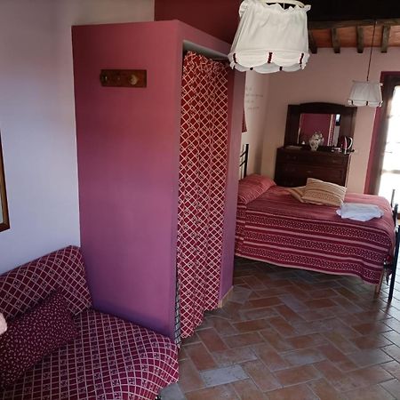 Agriturismo Scannano Serre Di Rapolano Exterior foto