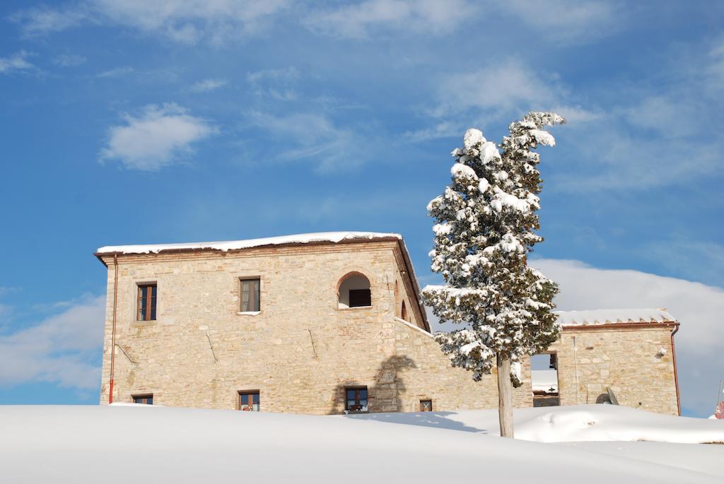 Agriturismo Scannano Serre Di Rapolano Exterior foto