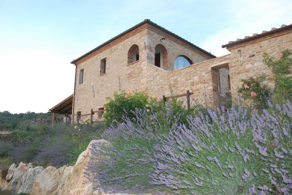 Agriturismo Scannano Serre Di Rapolano Exterior foto